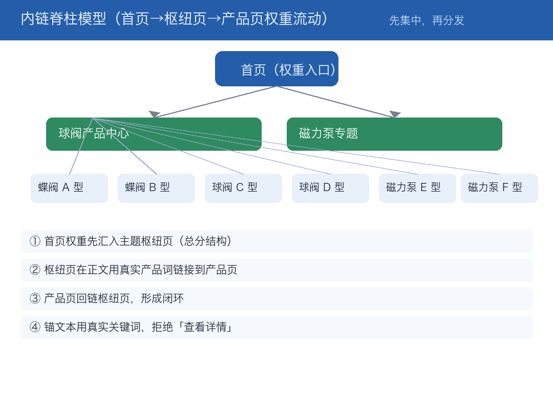 内链脊柱模型